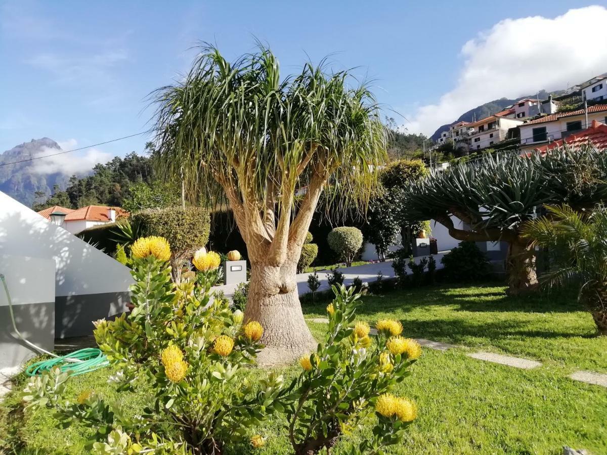 Granny'S Farm Guest House São Vicente Eksteriør bilde
